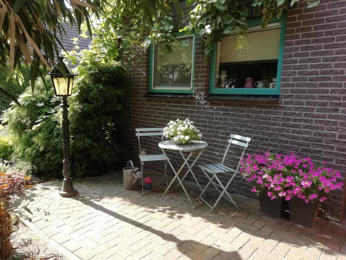 Woodstock B+B Villa Drouwenermond Esterno foto